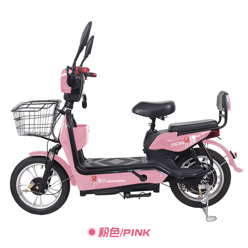 YTYIN New Electric Bike 48V Co - đánh giá và giá Commuter Biking