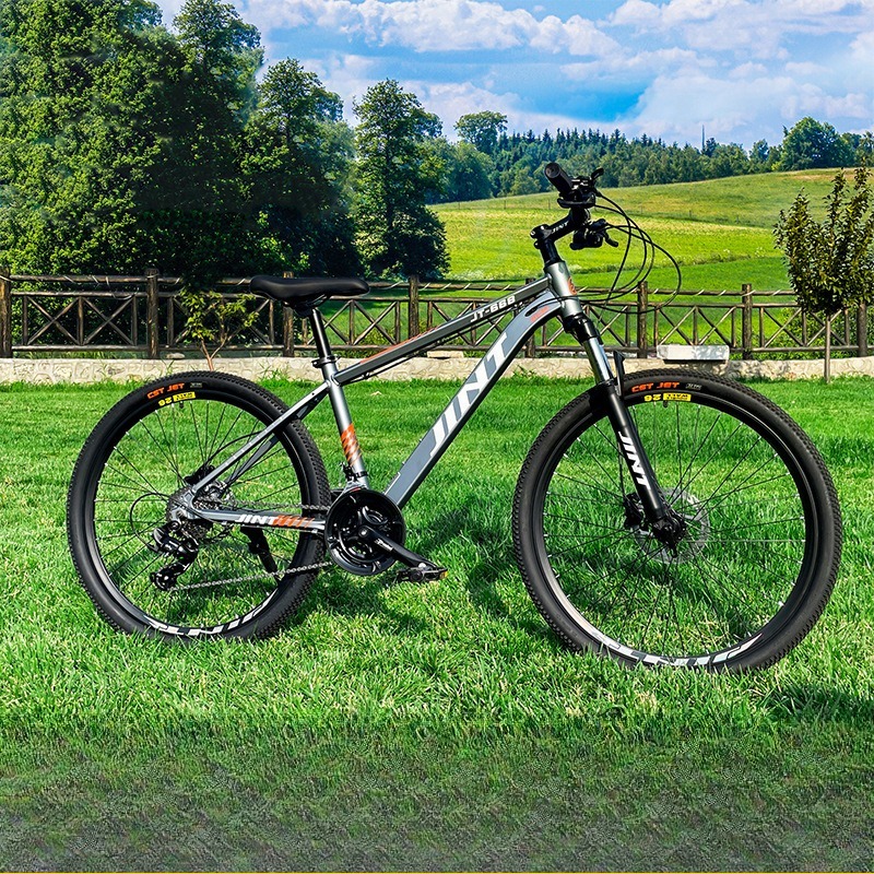 Wholesale Aluminum Alloy 26 In - đánh giá và giá Commuter Biking